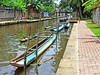 Hamiltonův kanál, Negombo (Srí Lanka, Dreamstime)